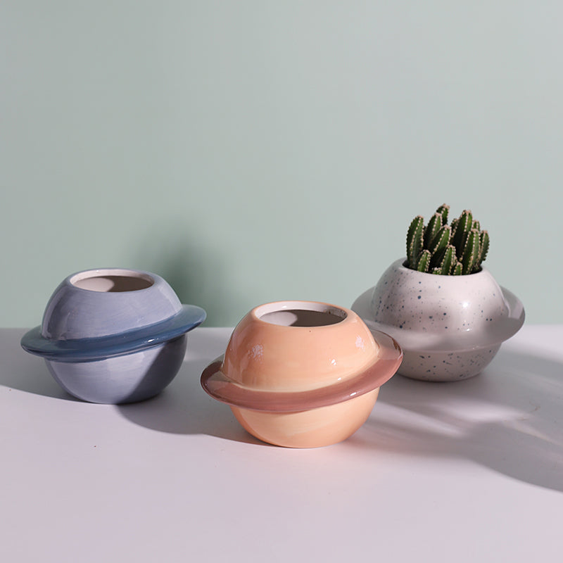 Cute Ceramic Succulent Flowerpot for Home Decoration